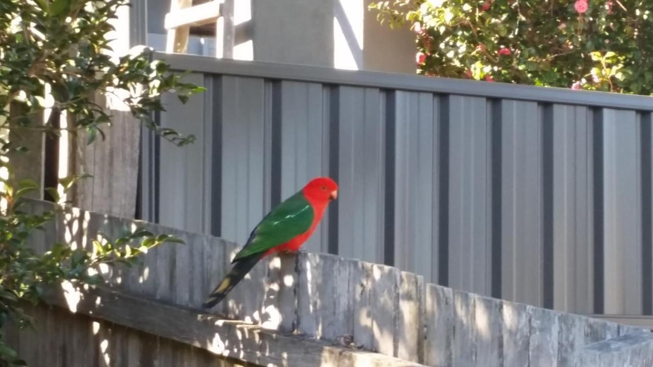 Mountain View Beach House Catalina 外观 照片